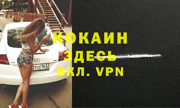 шишки Магас