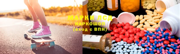 шишки Магас