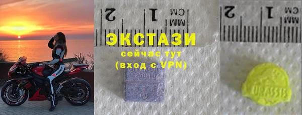 шишки Магас