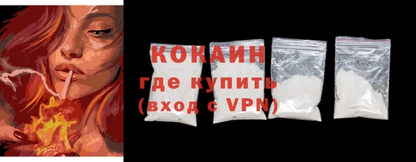 шишки Магас