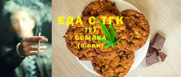 шишки Магас