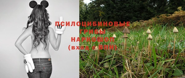 МДПВ Магадан