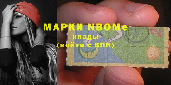 шишки Магас