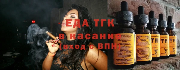 шишки Магас