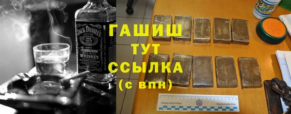 шишки Магас