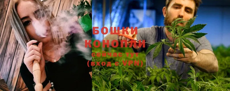 где найти   Александровск  Канабис SATIVA & INDICA 