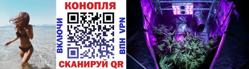 МЕГА ссылка  Александровск  Бошки марихуана семена 
